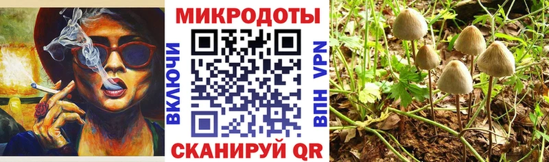 Купить  Заозёрный  Галлюциногенные грибы Magic Shrooms 